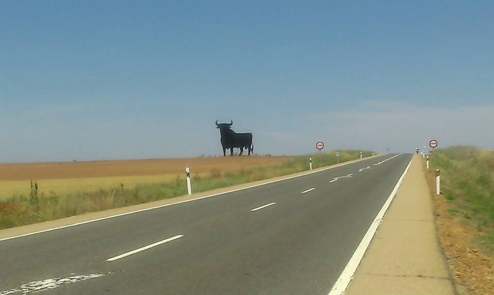 Uobičajena scena na severu, put put i odjednom veliki crni kartonski toro