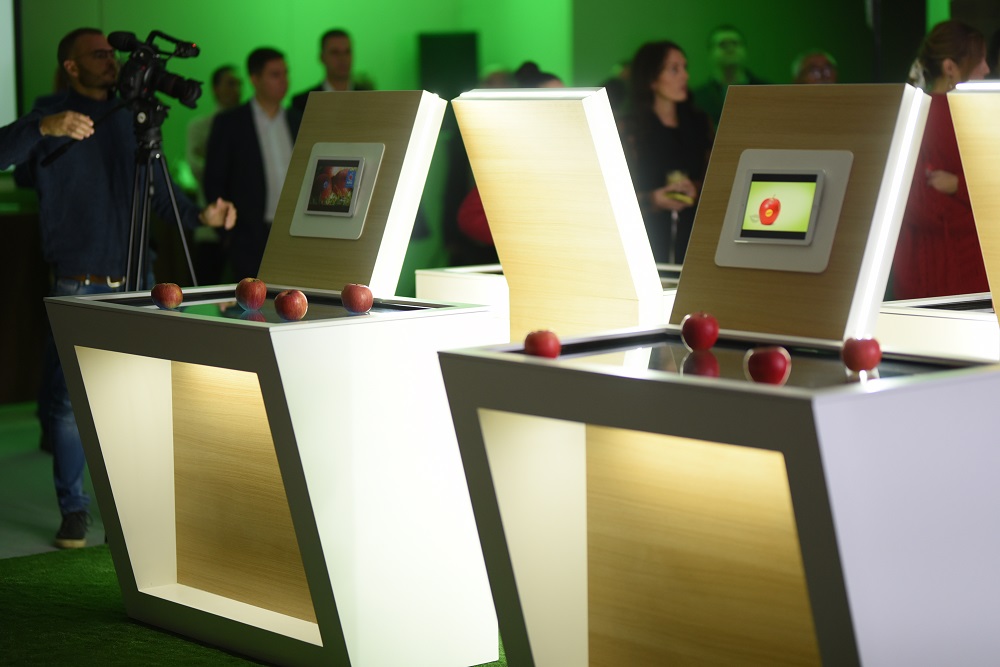 sorte klupskih jabuka