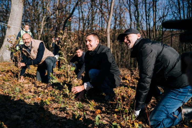 13.000 novih stabala hrasta
