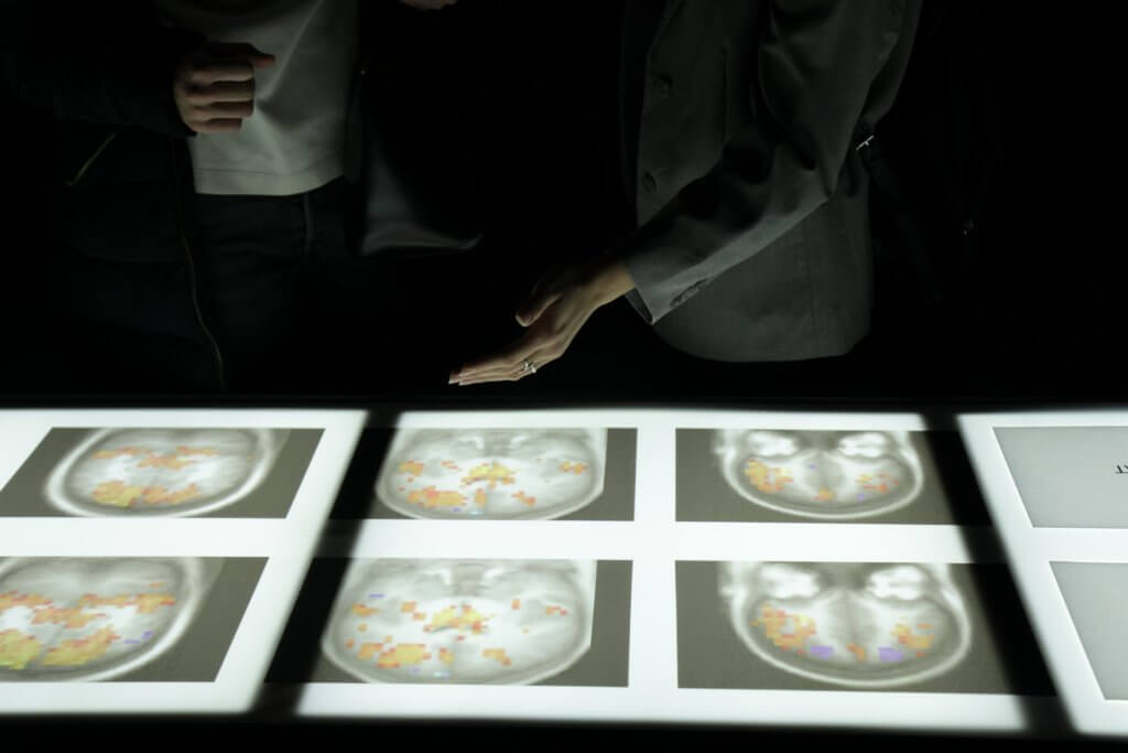 Art+neuroscience