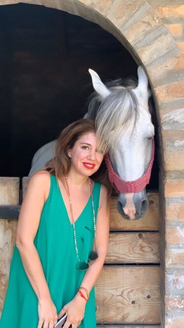 saša simović