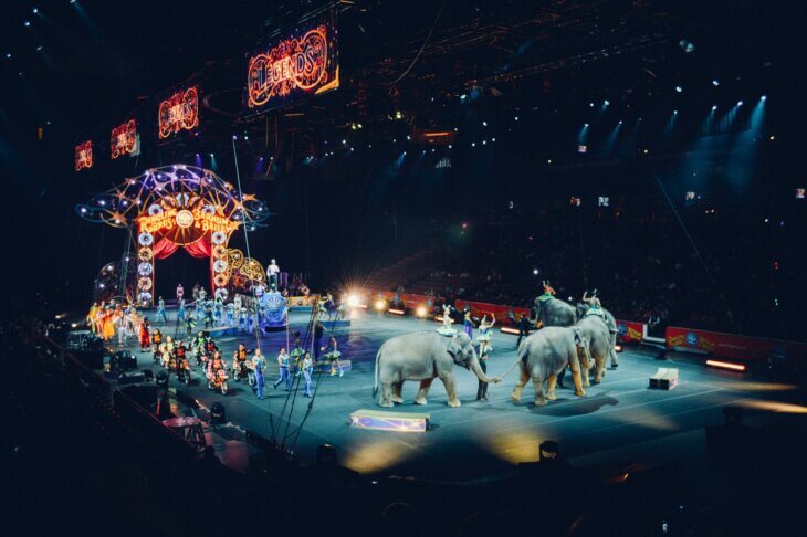 divlje životinje cirkus
