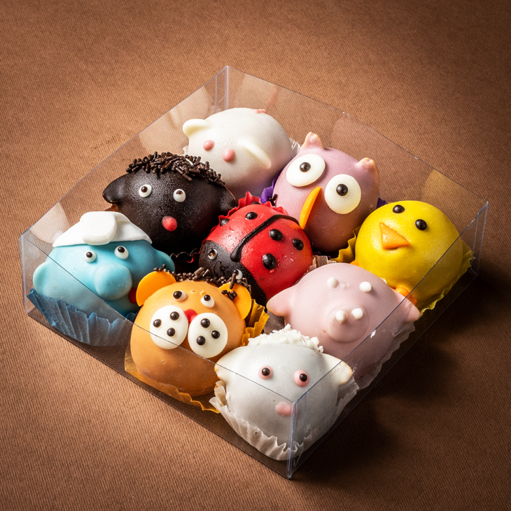 zivotinjsko carstvo - mbh 6 sesira