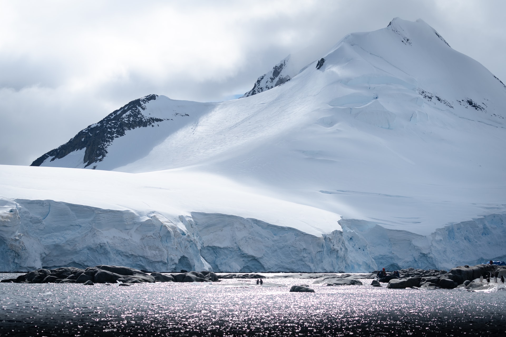 antarktik čile