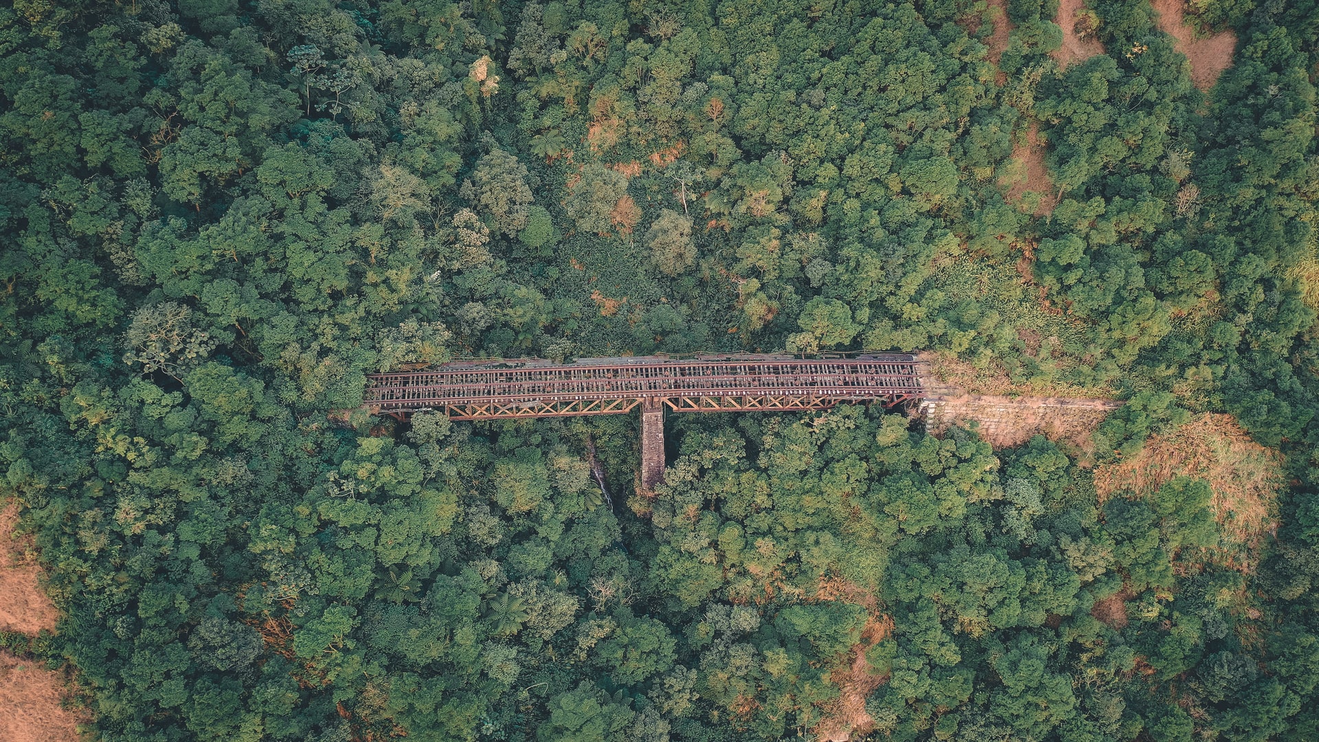 amazonska prašuma