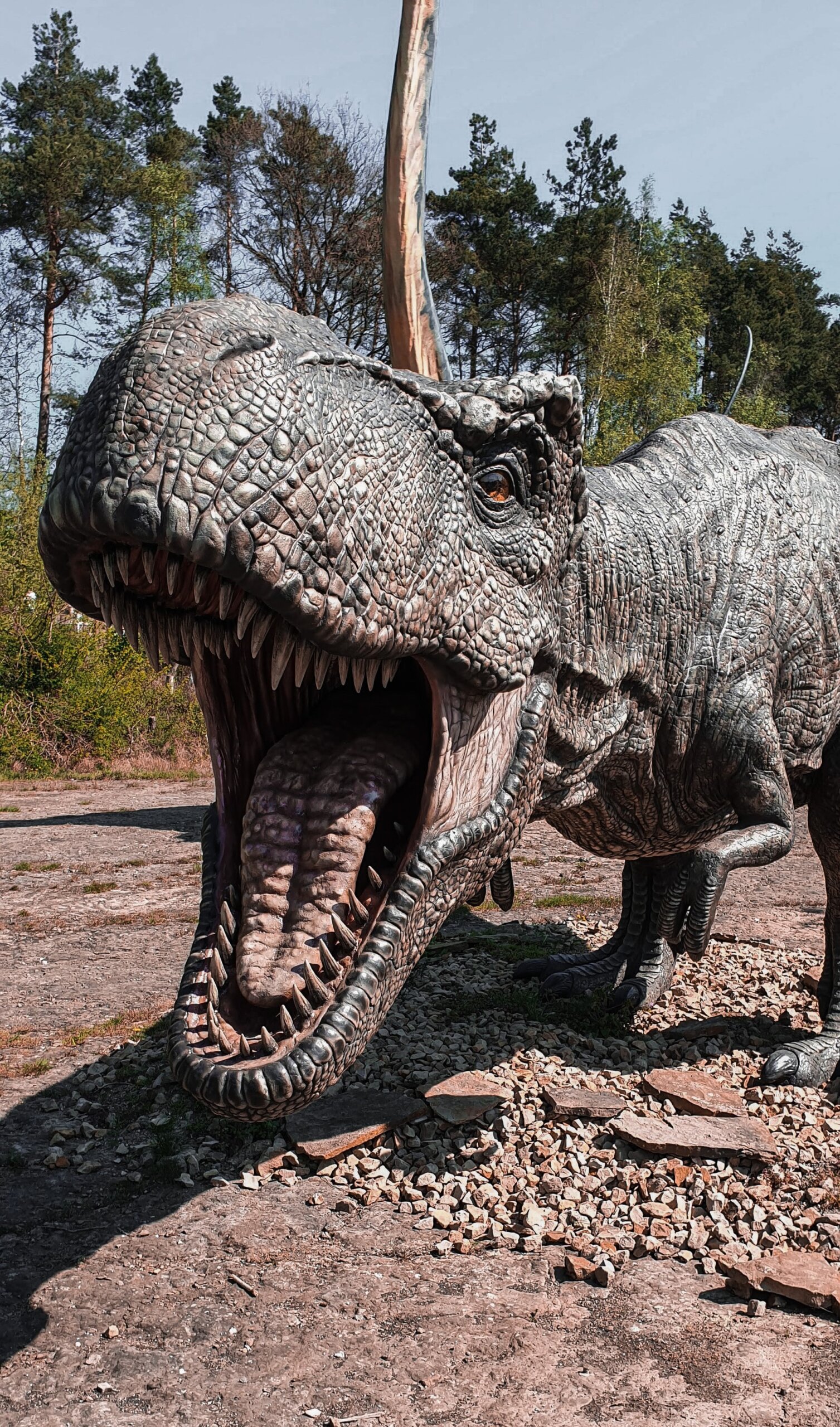 otisak dinosaurusa