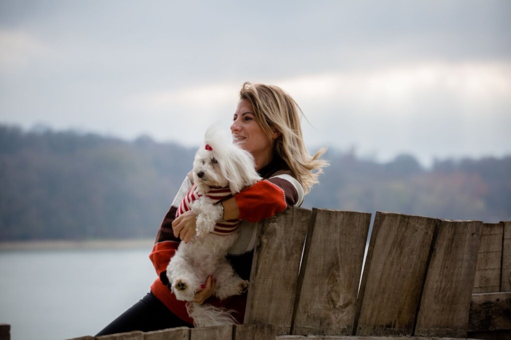 pet travel advisor