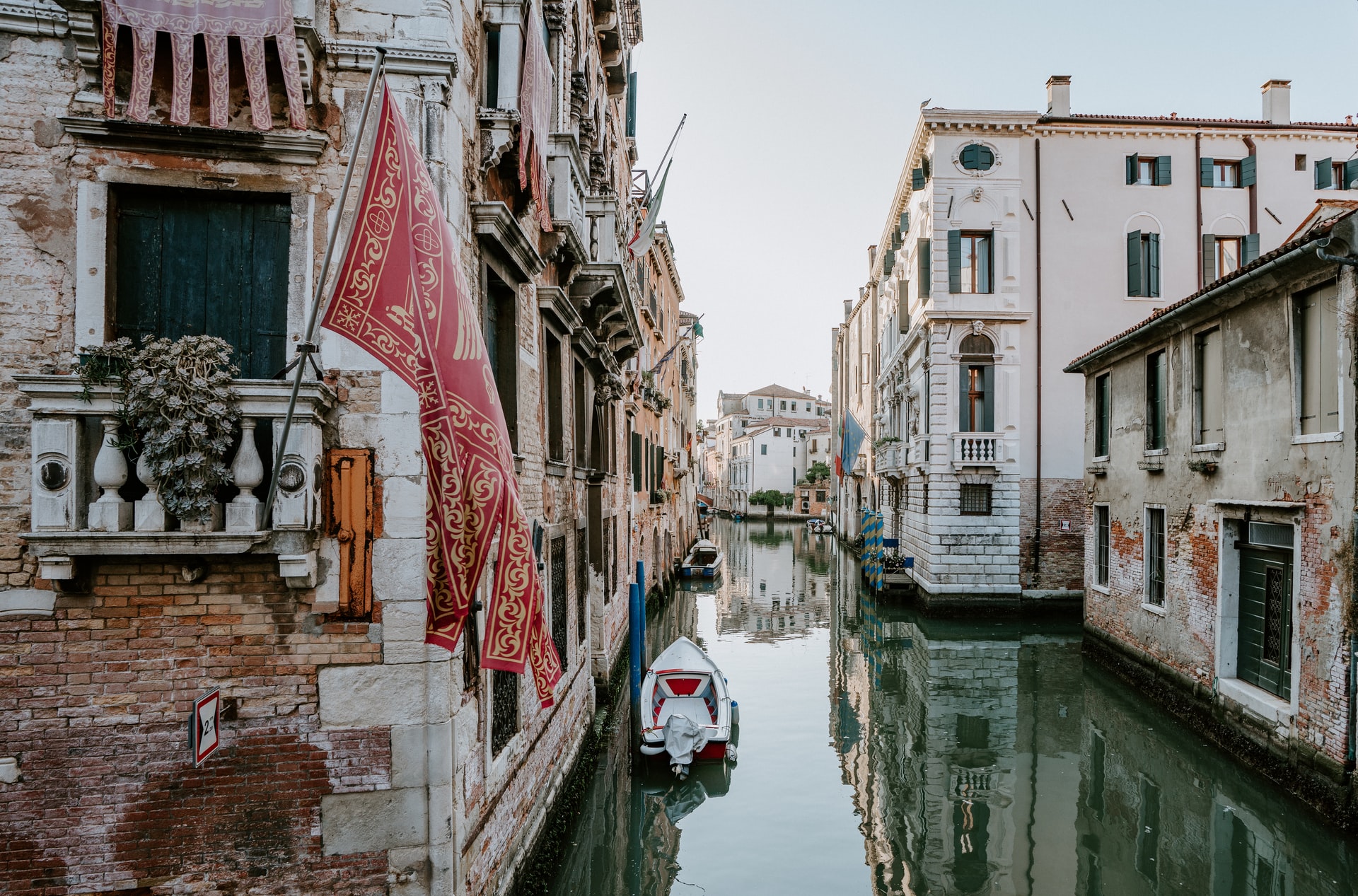 delfini u veneciji