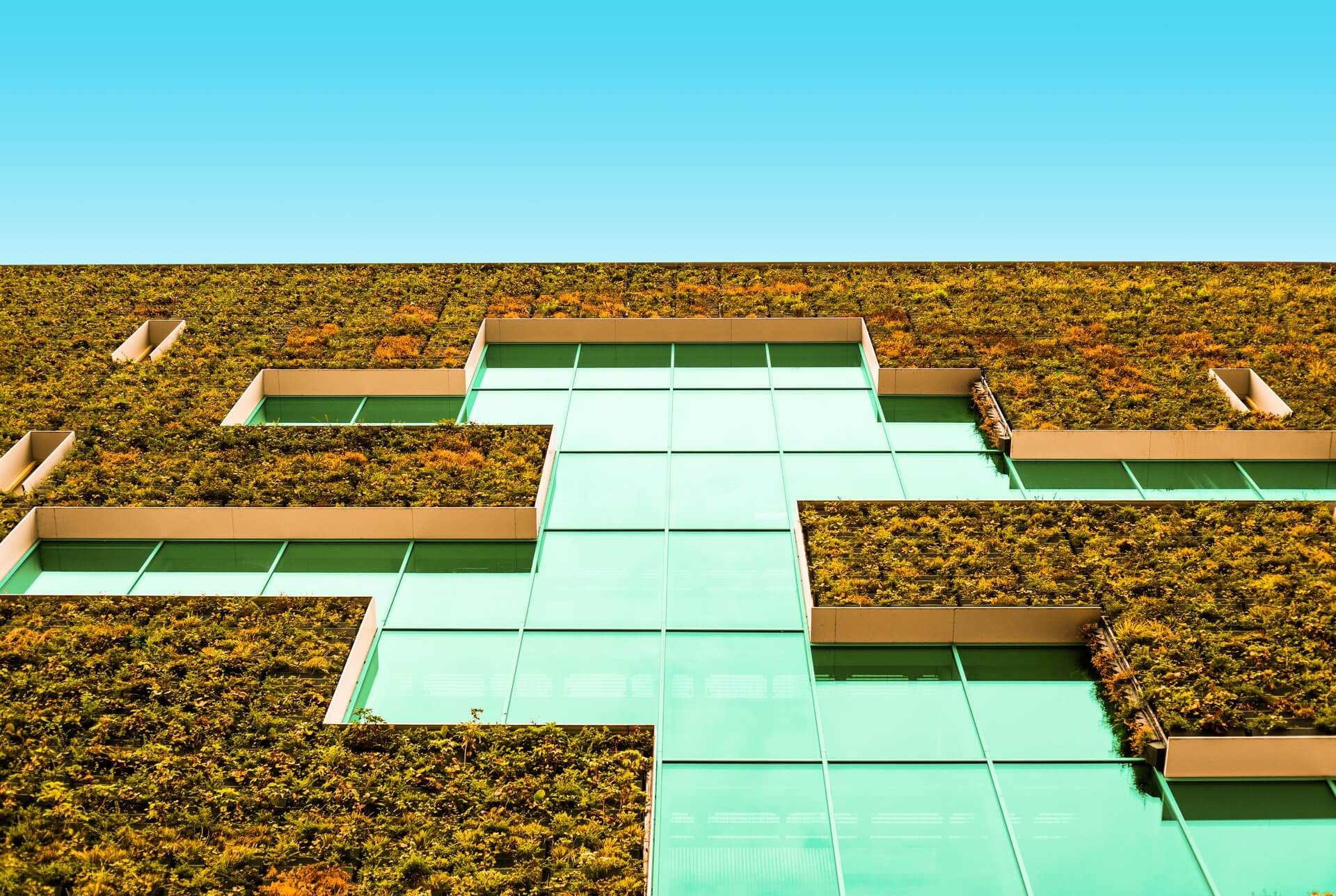 BASF Innovation Hub
