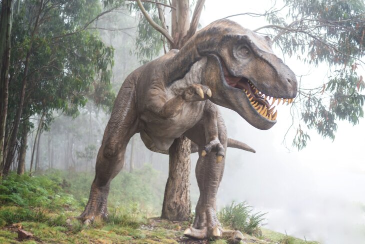 tiranosaurus