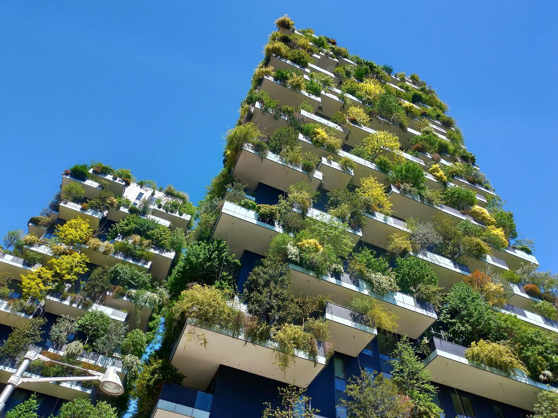 bosco verticale