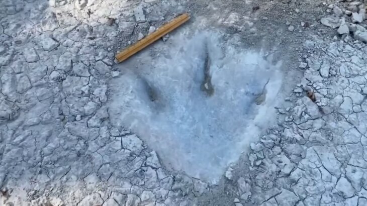 otisci stopala dinosaurusa