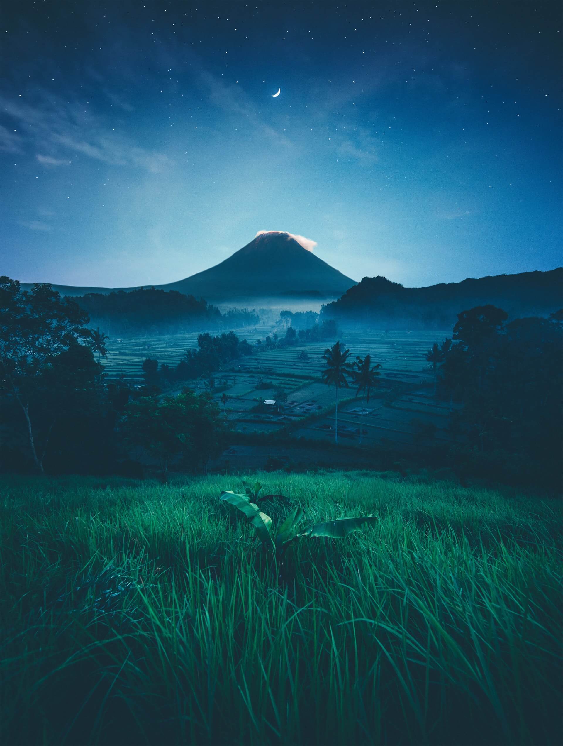 bali